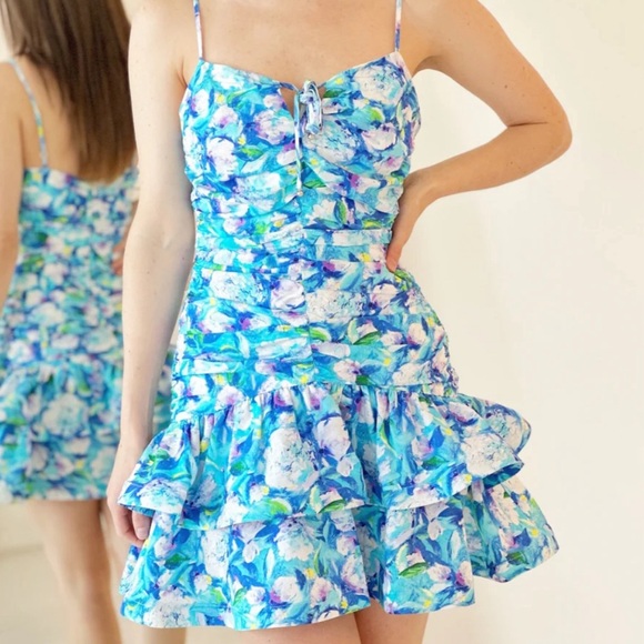 NWOT WORN ONCE BRAND NEW | ELLIATT NANCY DRESS | SIZE MEDIUM | SOLD OUT!!! - Picture 1 of 2